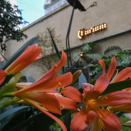 Casa Franca Recoleta Hostel Boutique-3